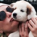 Miranda Lambert’s MuttNation Initiative Marks Two Years of Mutts Across America