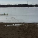 Help Buck Reach His 2015 Polar Plunge Goal [VIDEOS]