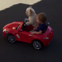 Pet Dog Drives Boy Around Driveway [VIDEO]