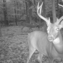 Illinois Bow Season Opens Saturday, Be Careful