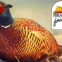 McLean County Pheasants Forever 31st Anniversary Banquet