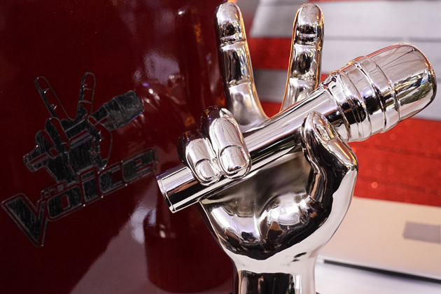 'The Voice' Winner's Trophy
