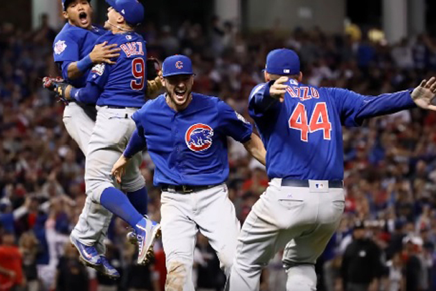 Chicago Cubs Rejoice