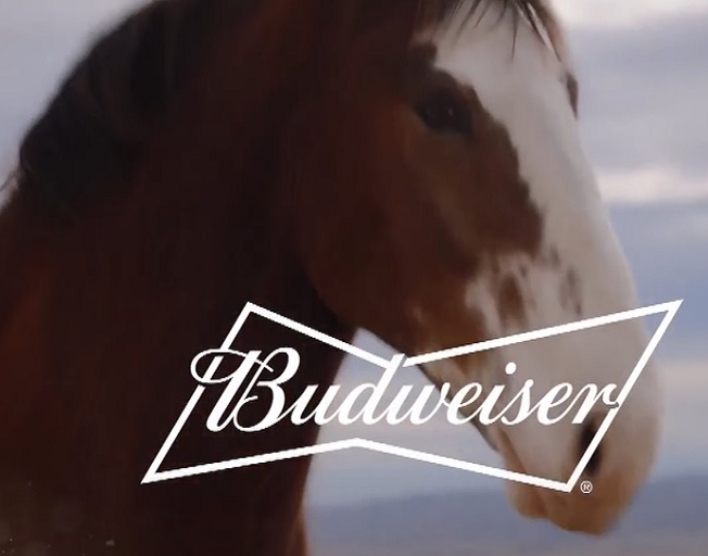 Watch as Budweiser Take Us On An Emotional Roller Coaster With New