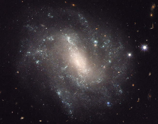 This Hubble Space Telescope image shows one of the galaxies in the survey to refine the measurement for how fast the universe expands with time, called the Hubble constant. Credits: NASA, ESA and A. Riess (STScI/JHU)