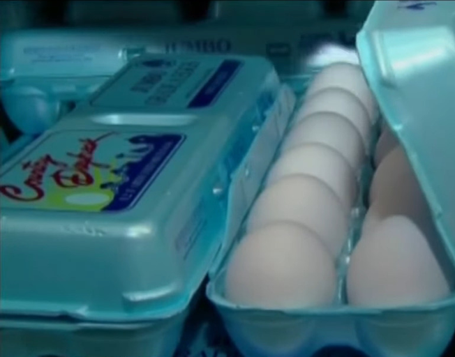 eggs in a carton