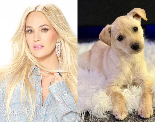Carrie Underwood and Charlie her new puppy