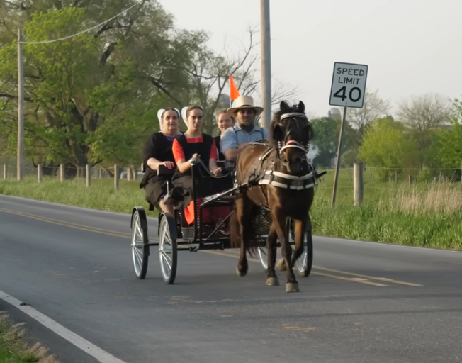Amish people riding in a horse and buggy on the road