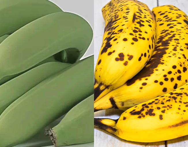 Green Bananas and Ripe Bananas